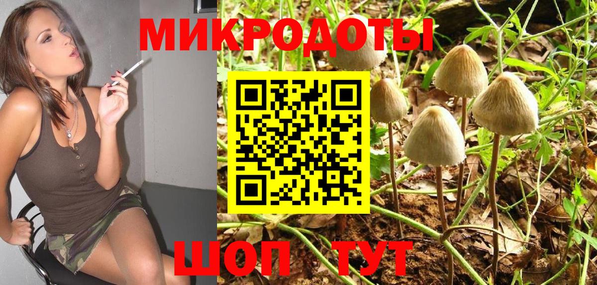 Псилоцибиновые грибы мухоморы  Псилоцибиновые грибы GOLDEN TEACHER  Вход с VPN  Петропавловск-Камчатский 